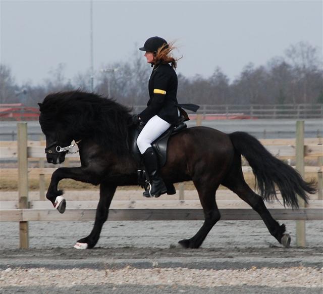 gymirhingstsida